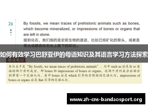 如何有效学习巴舒亚伊的母语知识及其语言学习方法探索